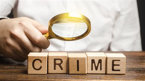 What Is Investigation In Criminology Definition